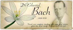 Bachove kapljice - Edward Bach
