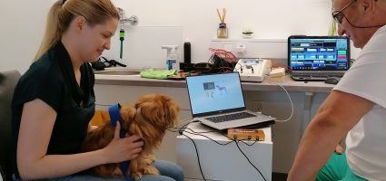 NOVO V BITKI PROTI KLOPOM